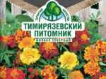 Цветы Бархатцы отклоненные махровые Смесь окрасок 0,3 г 10 шт/уп
