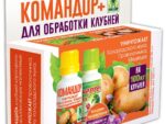 Командор + 2*25 мл Обработка клубней картофеля + стимулятор роста 24  шт/уп