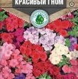 Цветы Флокс Красивый гном 0,2 г 10 шт/уп