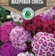 Цветы Гвоздика Турецкая махровая смесь 0,3 гр. 10 шт/уп