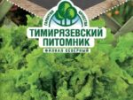 Салат Гейзер 0,5 гр 10 шт/уп
