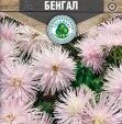 Цветы Астра коготковая Бенгал 0,2 г10 шт/уп