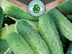Огурец Амур F1 6 шт 10 шт/уп