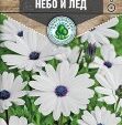 Цветы Остеоспермум Небо и лед смесь 0,2 г 10 шт/уп