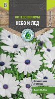 Цветы Остеоспермум Небо и лед смесь 0,2 г 10 шт/уп