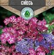Цветы Флокс Крупноцветковая смесь  0,2 г 10 шт/уп