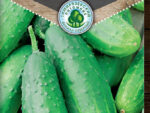 Огурец Обильный раннеспелый пчел *0,3г 0,3 г 10 шт/уп
