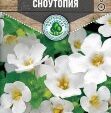 Цветы Бакопа Сноутопия 4 шт 10 шт/уп