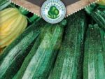 Кабачок цуккини Цукеша ранний 2 г  шт/уп