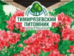 Цветы Флокс Друммонда Промис Скарлет 10 шт 10 шт/уп
