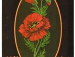 Вышивка крестом Красный мак  506 размер 9*19 см