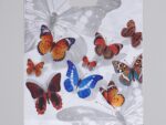 Пакет п/э (вырубной) 28*37 см 25 мкм Бабочки 100 шт/уп