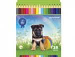 Карандаши цветные Домашние любимцы 18 цв.