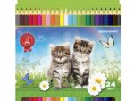 Карандаши цветные Домашние любимцы 24 цв. 12 шт/уп