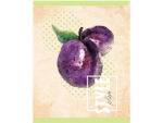 Тетрадь 48 л клетка Fruit Style 5 диз. А 5 HATBER 48Т5D1 80 шт/уп