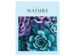Тетрадь 48 л клетка Nature5 диз блок серый ( 8 шт ) 80 шт/уп  HATBER 48Т5D1