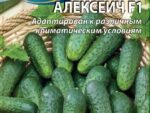 Огурец Алексеич F1 цв. пак. 0,25 гр 10 шт/уп ВХ