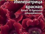 Глоксиния Императрица красная цв/п 5 шт 10 шт/уп ВХ