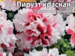 Петуния Пируэт красная махровая 10 шт 10 шт/уп ВХ