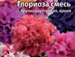 Петуния махровая Глориоза смесь 10 шт 10 шт/уп ВХ