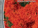 Бархатцы отклоненные махровые Русти ред 0,5 гр 10 шт/уп ВХ