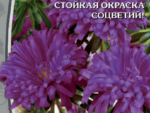 Астра Марина 0,2 гр 10 шт/уп ВХ
