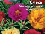Портулак Махровый Смесь 0,2 гр 10 шт/уп ВХ