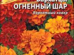 Бархатцы отклоненные Огненный шар 10 шт 10 шт/уп ВХ