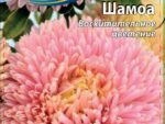Астра Балун Шамоа 0,1 гр ( однолетник ) 10 шт/уп