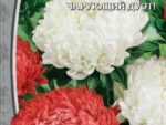Астра Красное и белое смесь 0,2 гр ( однолетник ) 10 шт/уп ВХ