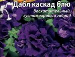Петуния Дабл каскад блю 10 шт 10 шт/уп ВХ