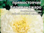 Бархатцы прямостоячие Килиманджаро 0,1 гр 10 шт/уп ВХ