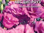 Эустома крупноцветковая АВС Дип Роуз 5 шт 10 шт/уп ВХ