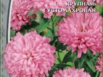 Астра пионовидная Королевский размер розовая 0,2 гр ( однолетник ) 10 шт/уп ВХ