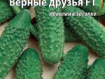 Огурец Верные друзья F1 0,25 цв.п. 10 шт/уп ВХ
