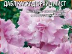 Петуния грандифлора Дабл Каскад Орхид Мист 20 шт 10 шт/уп ВХ