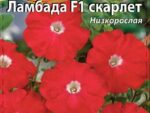 Петуния Ламбада Скарлет цв/п 10 шт 10 шт/уп ВХ