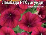Петуния Ламбада бургунди цв/п 10 шт 10 шт/уп ВХ