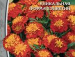 Бархатцы отклоненные Оранжевое пламя 0,5 гр 10 шт/уп ВХ
