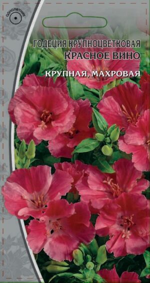 Годеция Красное вино 0,3 гр 10 шт/уп ВХ