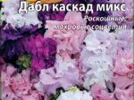 Петуния Дабл каскад микс 10 шт 10 шт/уп ВХ