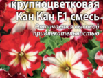 Петуния КАН КАН смесь F1 10 шт 10 шт/уп ВХ