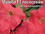 Петуния Мамбо лососевая цв/п 10 шт 10 шт/уп ВХ