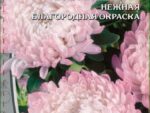 Астра пионовидная Королевский размер яблоневый цвет 0,2 гр ( однолетник ) 10 шт/уп