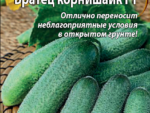 Огурец Братец Корнишайк F1 0,25 гр цв. пак 10 шт/уп ВХ
