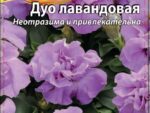Петуния Дуо лавандовая 10 шт 10 шт/уп ВХ