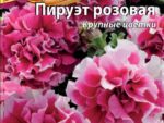 Петуния Пируэт розовая махровая 10 шт 10 шт/уп ВХ