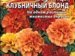 Бархатцы отклоненные Клубничный блонд 10 шт. 10 шт/уп ВХ