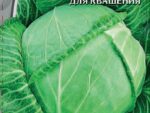 Капуста белокоч. Подарок 1 гр цв.п, 10 шт/уп ВХ