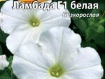 Петуния Ламбада белая цв/п 10 шт 10 шт/уп ВХ